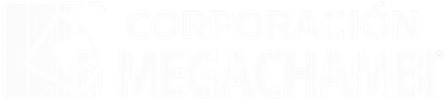 corporacionmegachambi.com